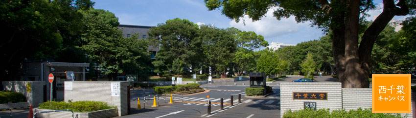 千叶大学.jpg